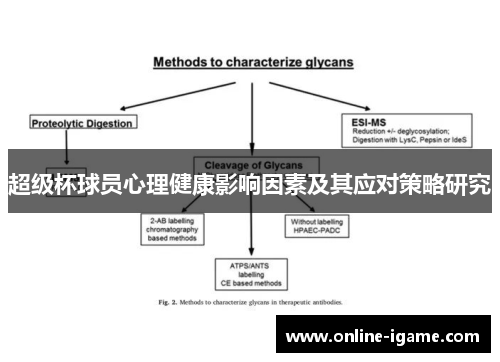 超级杯球员心理健康影响因素及其应对策略研究