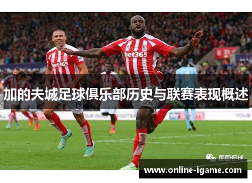 加的夫城足球俱乐部历史与联赛表现概述 加的夫城足球俱乐部历史与联赛表现概述